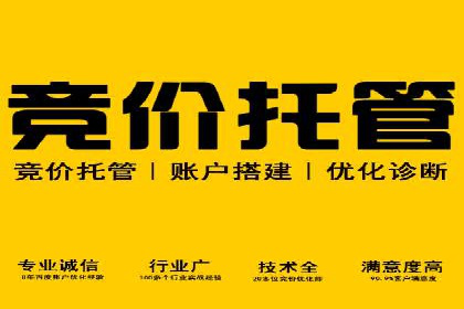 实战技巧：竞价推广公司案例深度解读